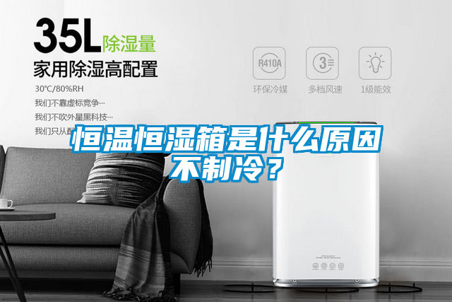 恒溫恒濕箱是什么原因不制冷？