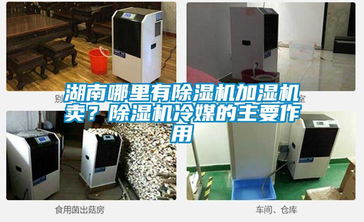 湖南哪里有除濕機加濕機賣？除濕機冷媒的主要作用