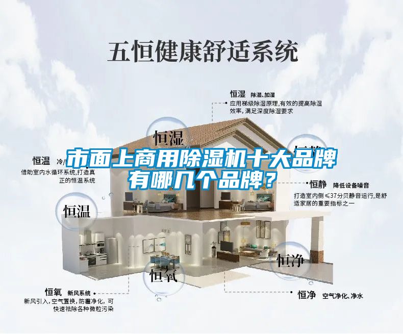 市面上商用除濕機十大品牌有哪幾個品牌？