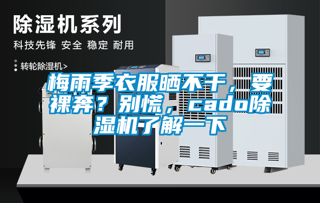 梅雨季衣服曬不干，要裸奔？別慌，cado除濕機了解一下