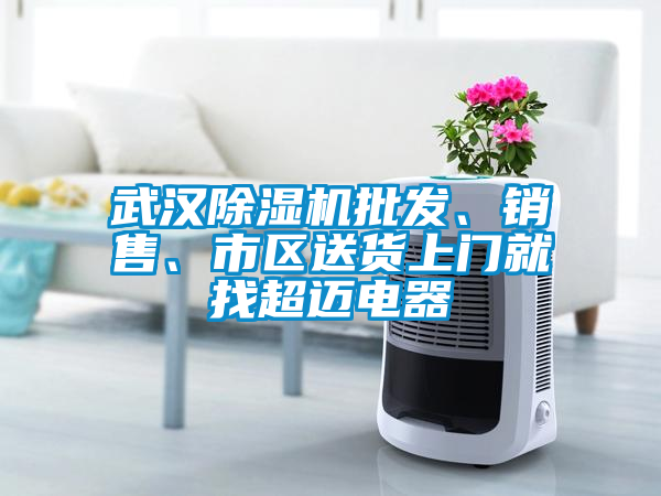 武漢除濕機批發、銷售、市區送貨上門就找超邁電器