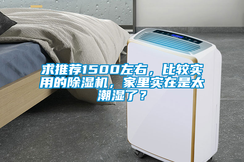 求推薦1500左右，比較實用的除濕機，家里實在是太潮濕了？