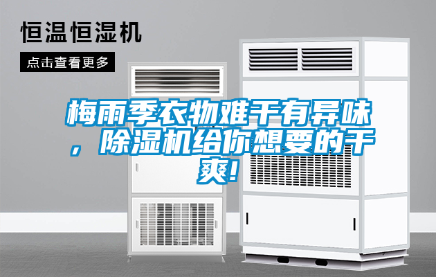 梅雨季衣物難干有異味，除濕機給你想要的干爽!