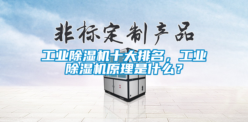 工業除濕機十大排名，工業除濕機原理是什么？
