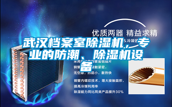 武漢檔案室除濕機，專業(yè)的防潮、除濕機設備
