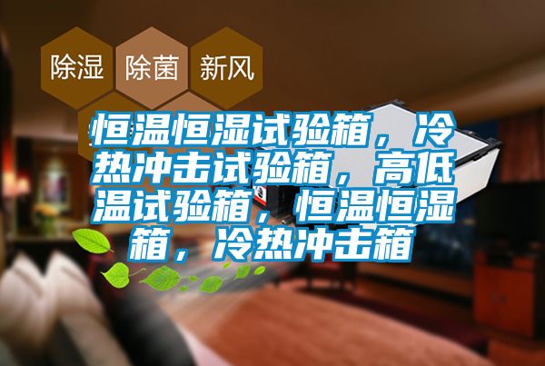 恒溫恒濕試驗箱，冷熱沖擊試驗箱，高低溫試驗箱，恒溫恒濕箱，冷熱沖擊箱