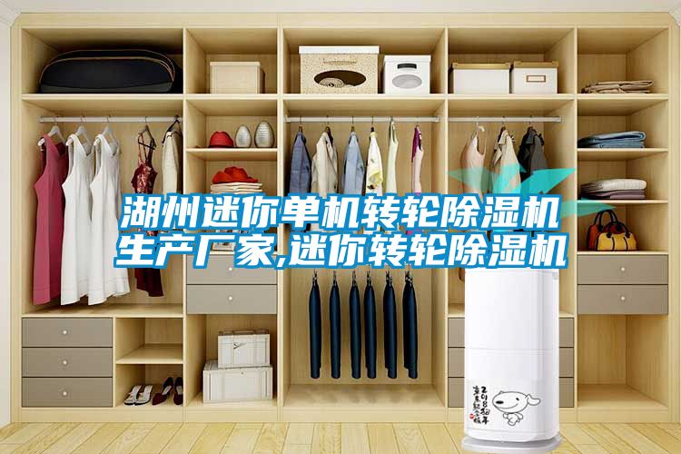 湖州迷你單機轉輪除濕機生產(chǎn)廠家,迷你轉輪除濕機