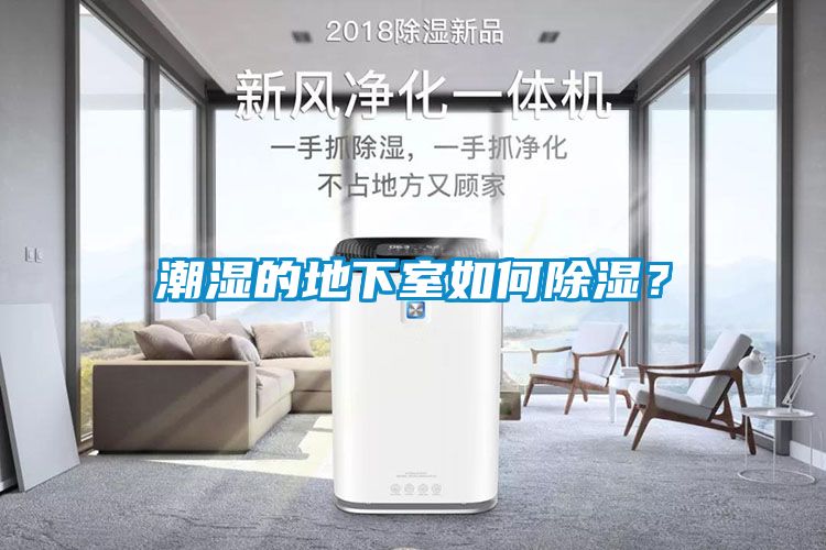潮濕的地下室如何除濕？