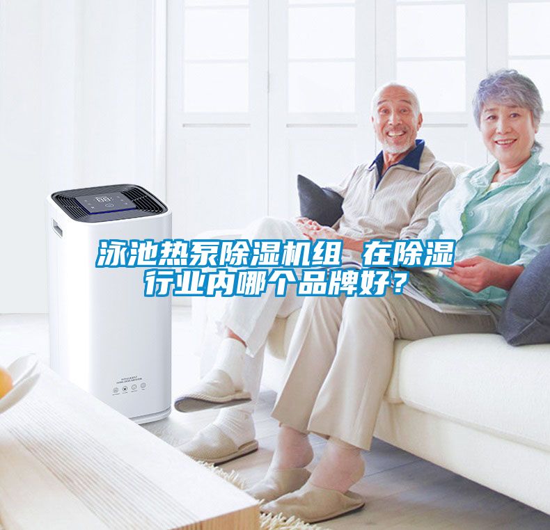 泳池熱泵除濕機組 在除濕行業內哪個品牌好？