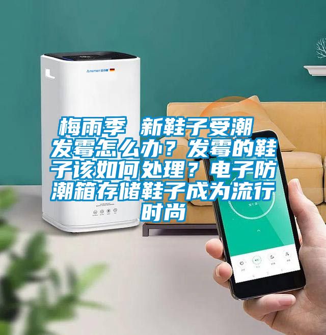 梅雨季 新鞋子受潮 發(fā)霉怎么辦？發(fā)霉的鞋子該如何處理？電子防潮箱存儲鞋子成為流行時尚