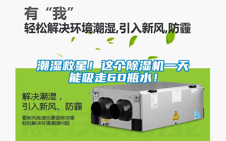 潮濕救星！這個除濕機一天能吸走60瓶水！