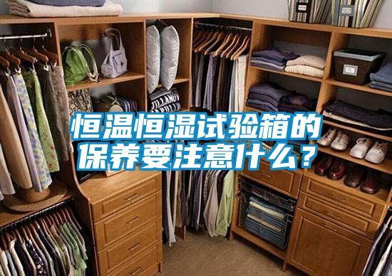 恒溫恒濕試驗箱的保養(yǎng)要注意什么？