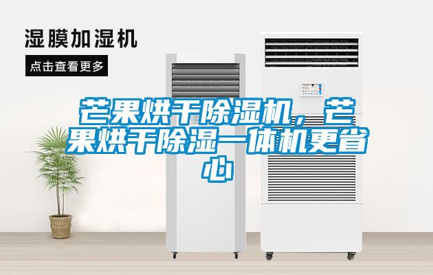 芒果烘干除濕機，芒果烘干除濕一體機更省心