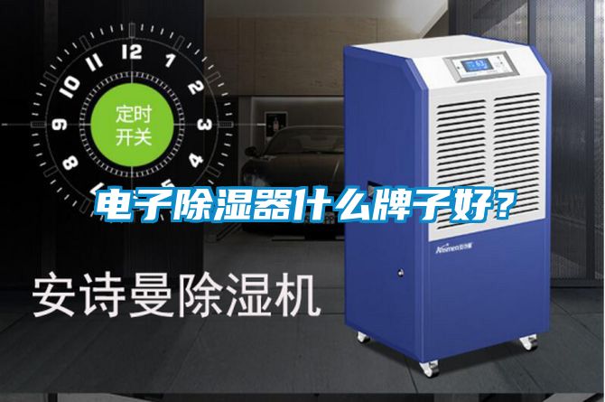 電子除濕器什么牌子好？