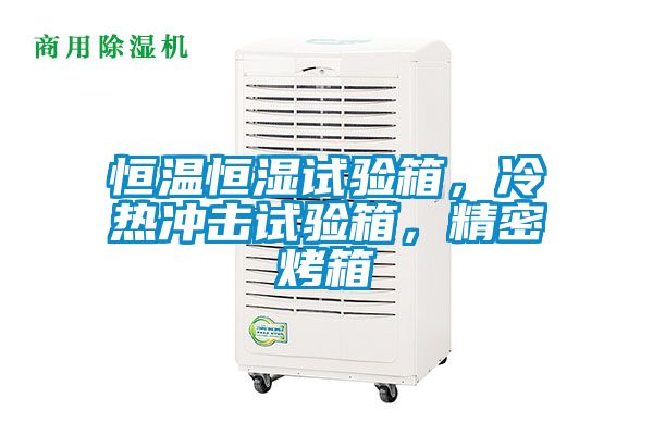 恒溫恒濕試驗箱，冷熱沖擊試驗箱，精密烤箱