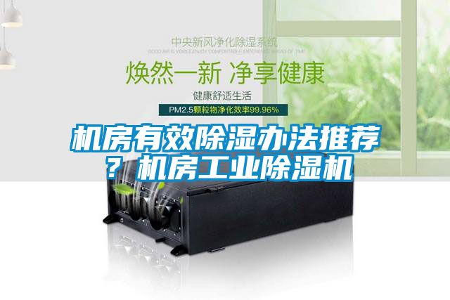 機房有效除濕辦法推薦？機房工業除濕機