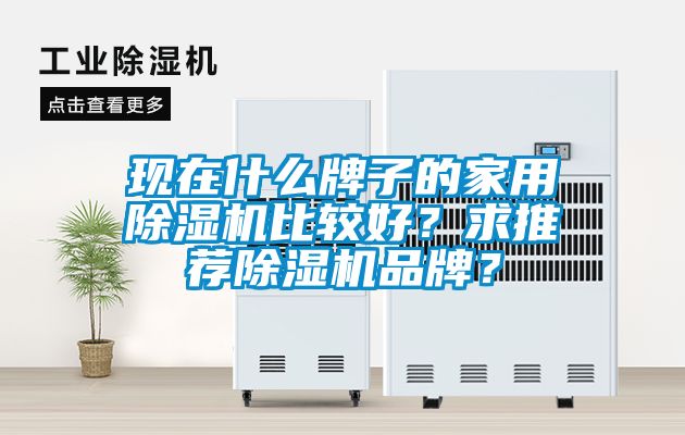 現在什么牌子的家用除濕機比較好？求推薦除濕機品牌？