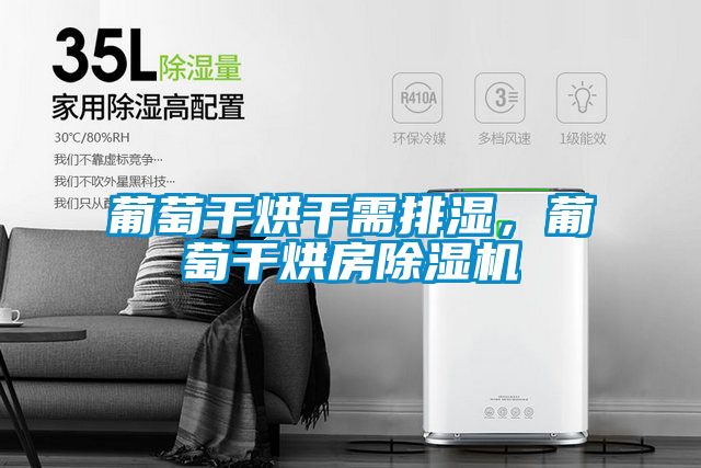 葡萄干烘干需排濕，葡萄干烘房除濕機(jī)