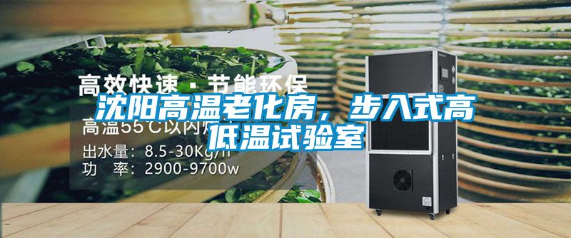 沈陽高溫老化房，步入式高低溫試驗(yàn)室