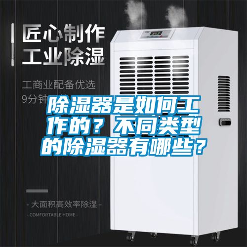 除濕器是如何工作的？不同類型的除濕器有哪些？