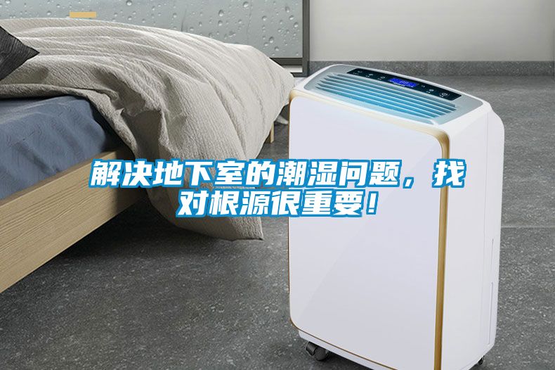 解決地下室的潮濕問題，找對根源很重要！
