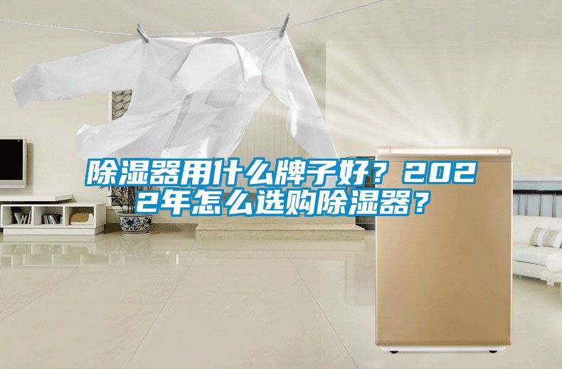 除濕器用什么牌子好？2022年怎么選購除濕器？