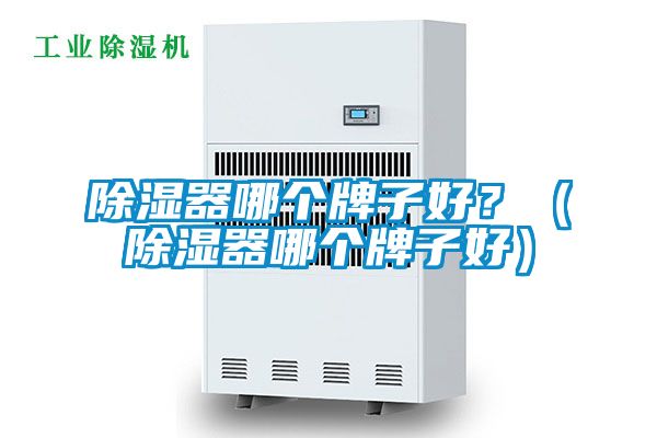 除濕器哪個牌子好？（除濕器哪個牌子好）