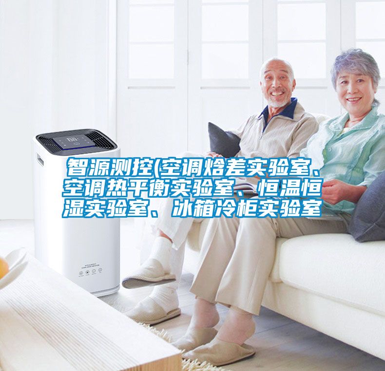 智源測控(空調焓差實驗室、空調熱平衡實驗室、恒溫恒濕實驗室、冰箱冷柜實驗室
