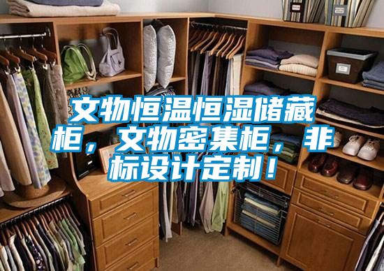 文物恒溫恒濕儲藏柜，文物密集柜，非標設計定制！