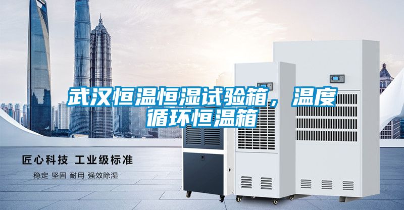 武漢恒溫恒濕試驗箱，溫度循環恒溫箱