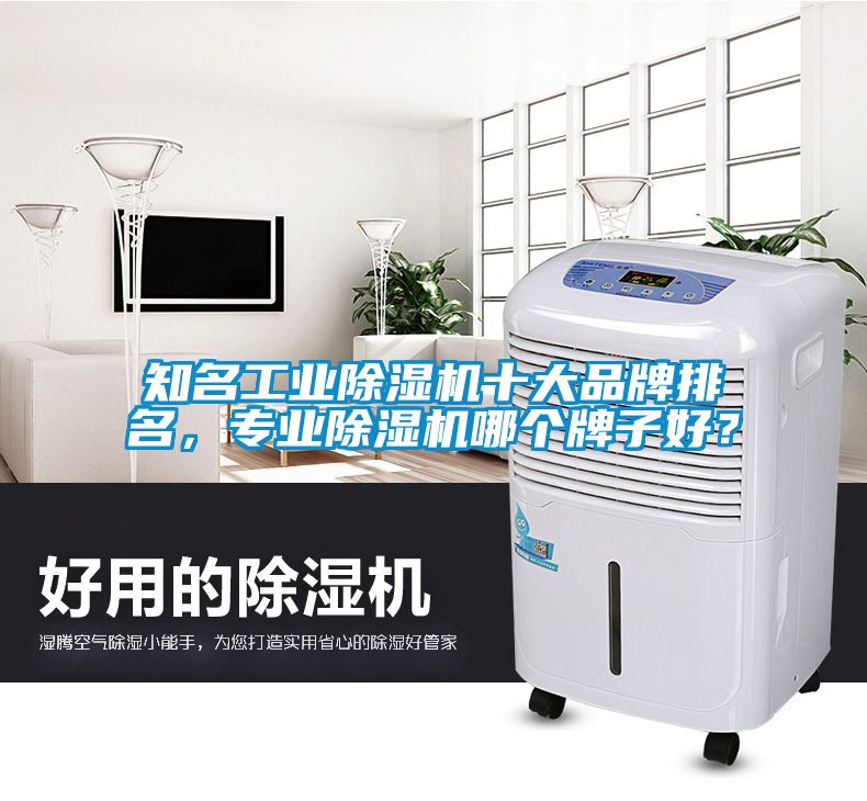知名工業除濕機十大品牌排名，專業除濕機哪個牌子好？