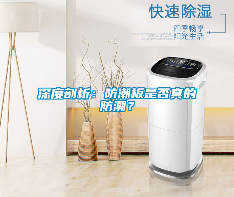 深度剖析：防潮板是否真的防潮？