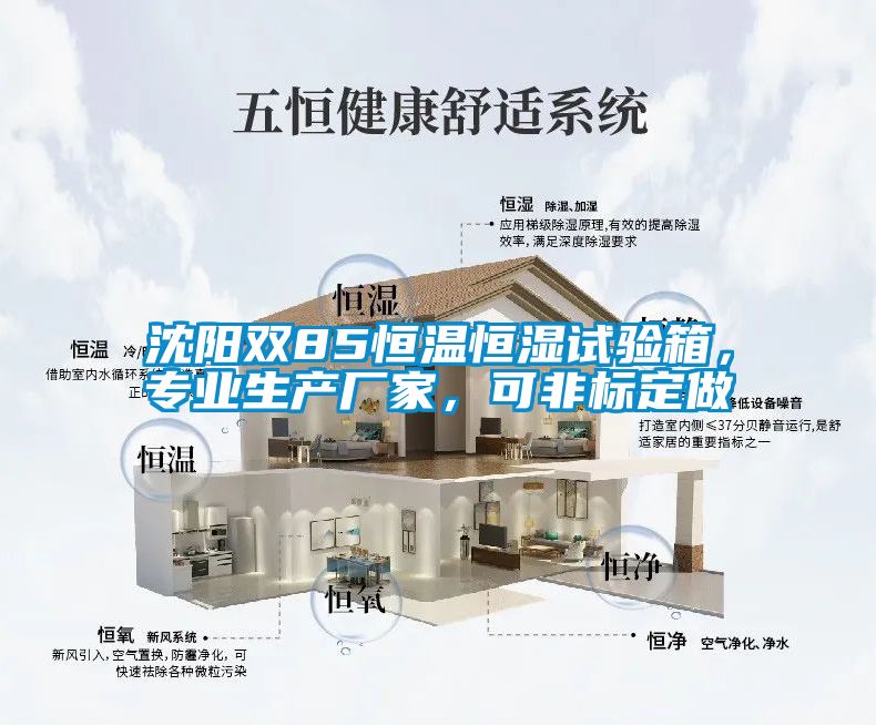 沈陽雙85恒溫恒濕試驗箱，專業生產廠家，可非標定做