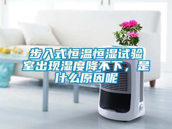 步入式恒溫恒濕試驗室出現濕度降不下，是什么原因呢