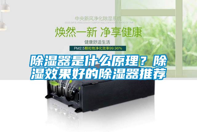 除濕器是什么原理？除濕效果好的除濕器推薦