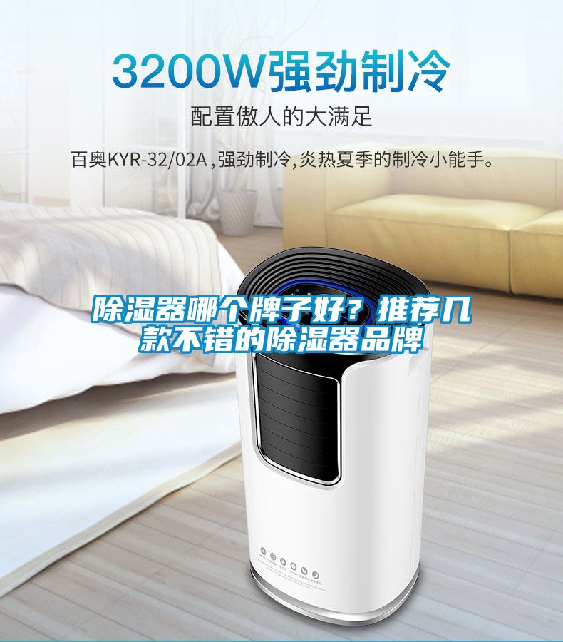 除濕器哪個牌子好？推薦幾款不錯的除濕器品牌