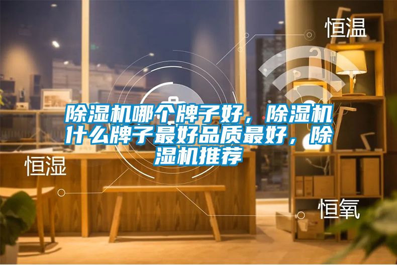 除濕機(jī)哪個(gè)牌子好，除濕機(jī)什么牌子最好品質(zhì)最好，除濕機(jī)推薦