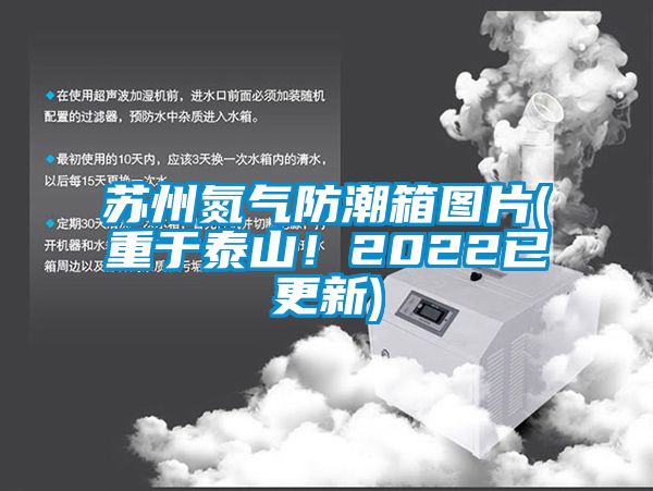 蘇州氮氣防潮箱圖片(重于泰山！2022已更新)