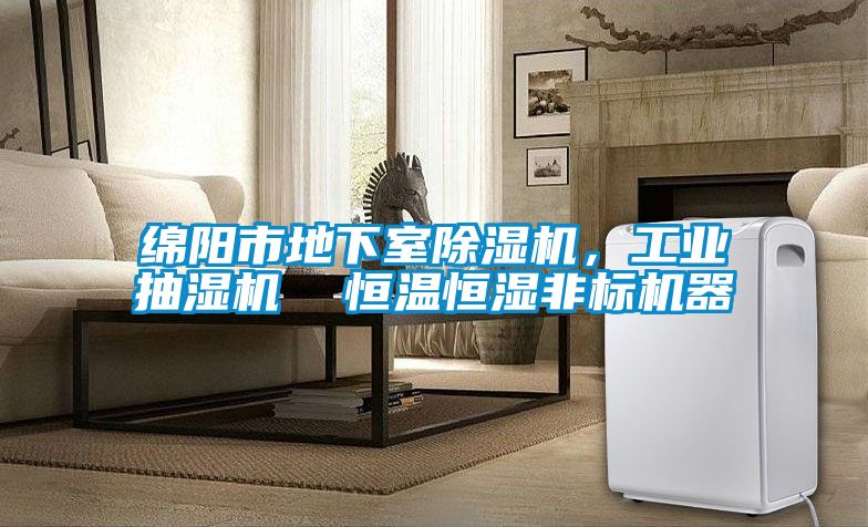綿陽市地下室除濕機(jī)，工業(yè)抽濕機(jī)  恒溫恒濕非標(biāo)機(jī)器