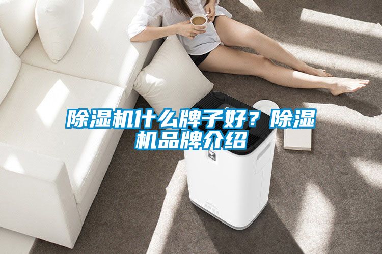 除濕機什么牌子好？除濕機品牌介紹