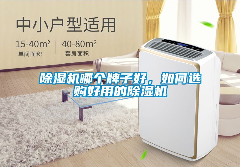 除濕機(jī)哪個(gè)牌子好，如何選購好用的除濕機(jī)