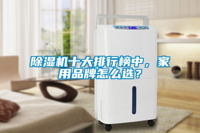 除濕機十大排行榜中，家用品牌怎么選？