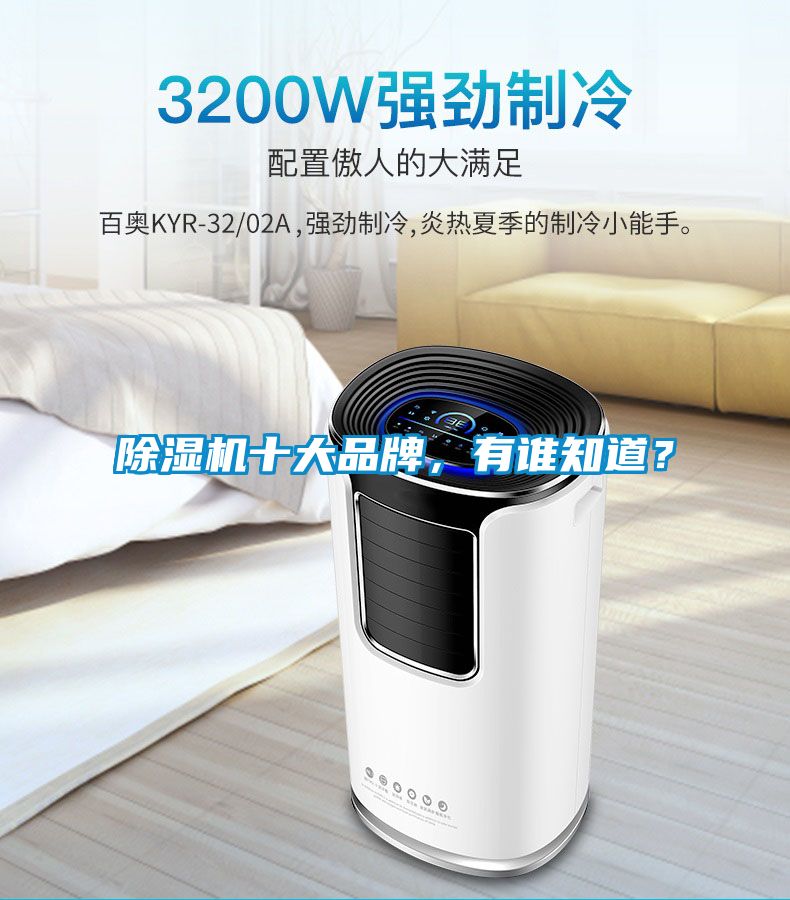 除濕機十大品牌，有誰知道？