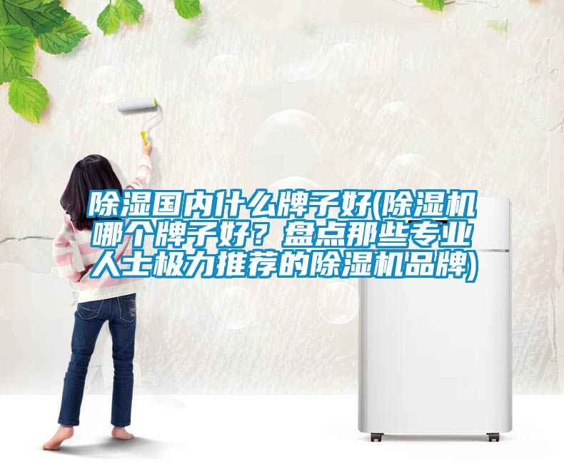 除濕國內什么牌子好(除濕機哪個牌子好？盤點那些專業人士極力推薦的除濕機品牌)