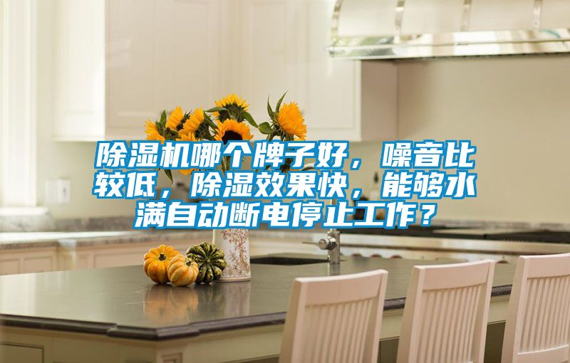 除濕機(jī)哪個(gè)牌子好，噪音比較低，除濕效果快，能夠水滿自動(dòng)斷電停止工作？