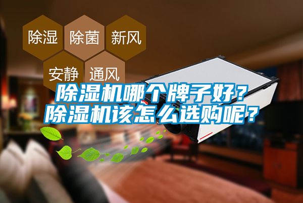 除濕機哪個牌子好？除濕機該怎么選購呢？