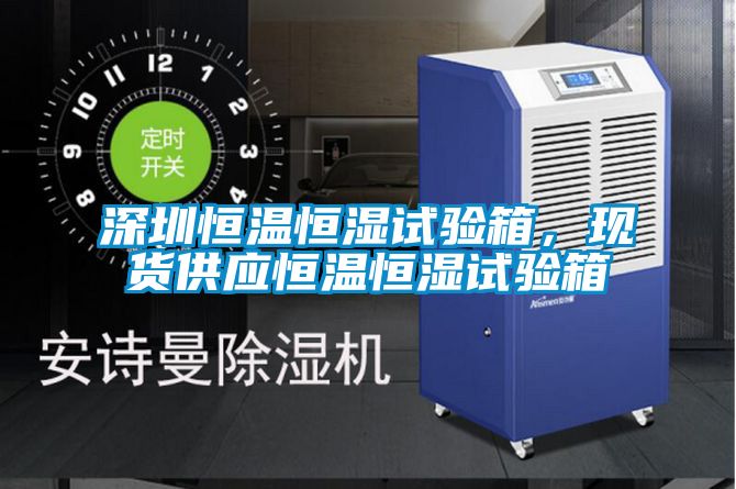 深圳恒溫恒濕試驗箱，現貨供應恒溫恒濕試驗箱
