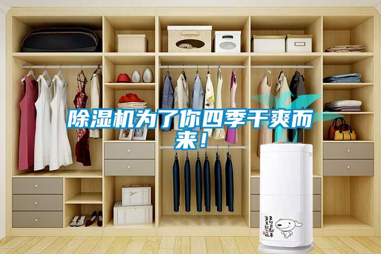 除濕機為了你四季干爽而來！