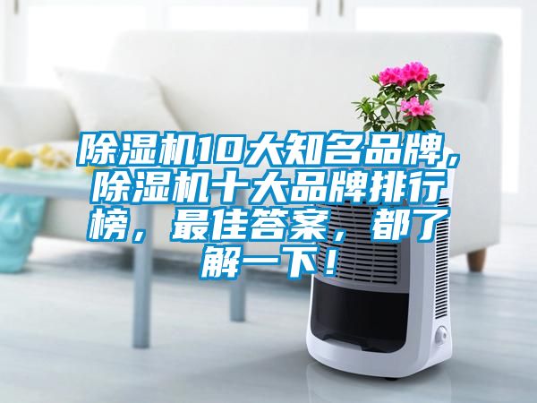 除濕機10大知名品牌，除濕機十大品牌排行榜，最佳答案，都了解一下！