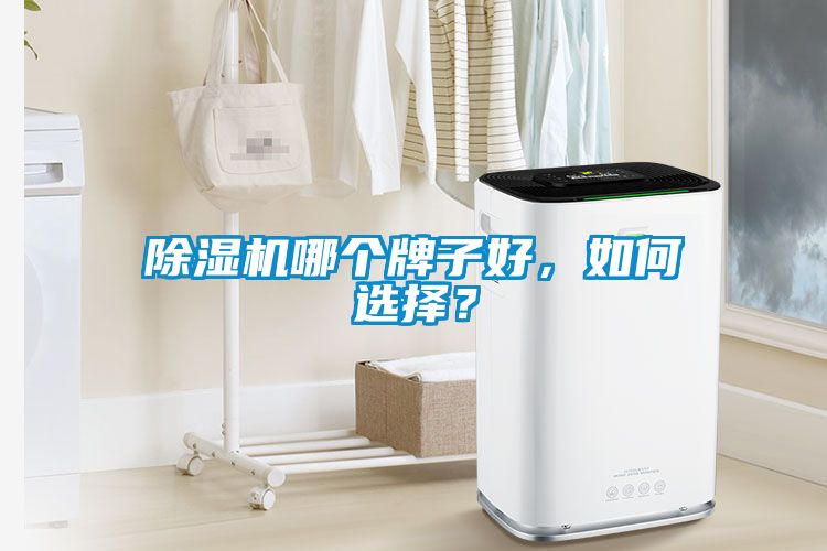 除濕機(jī)哪個(gè)牌子好，如何選擇？